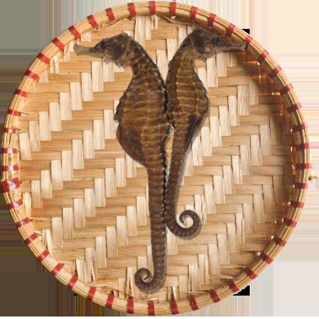 Hải Mã  Khô (Cá Ngựa)